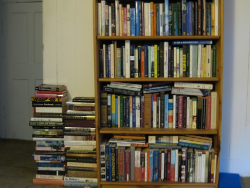 Bookshelves 001